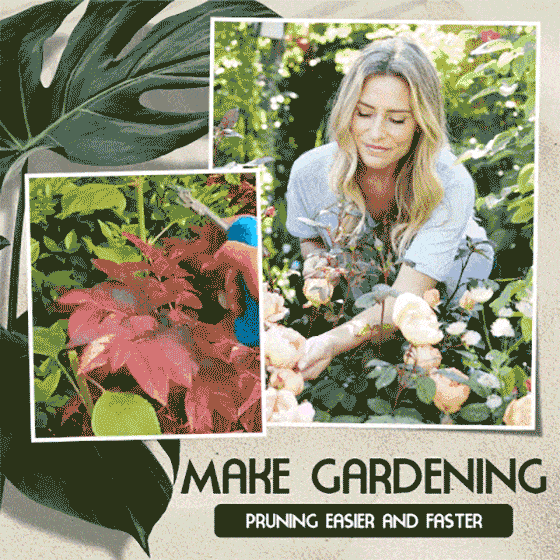 Brehn | Tragbare spitze Gartenschere