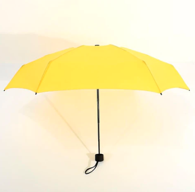 Mini-Taschenschirm