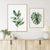 Grüne Blatt Tropische Botanische Aquarell Poster
