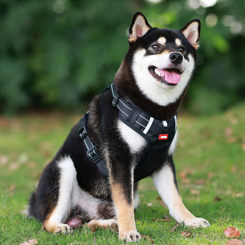 Reflektierender Hunde-Brustgurt | Brehn