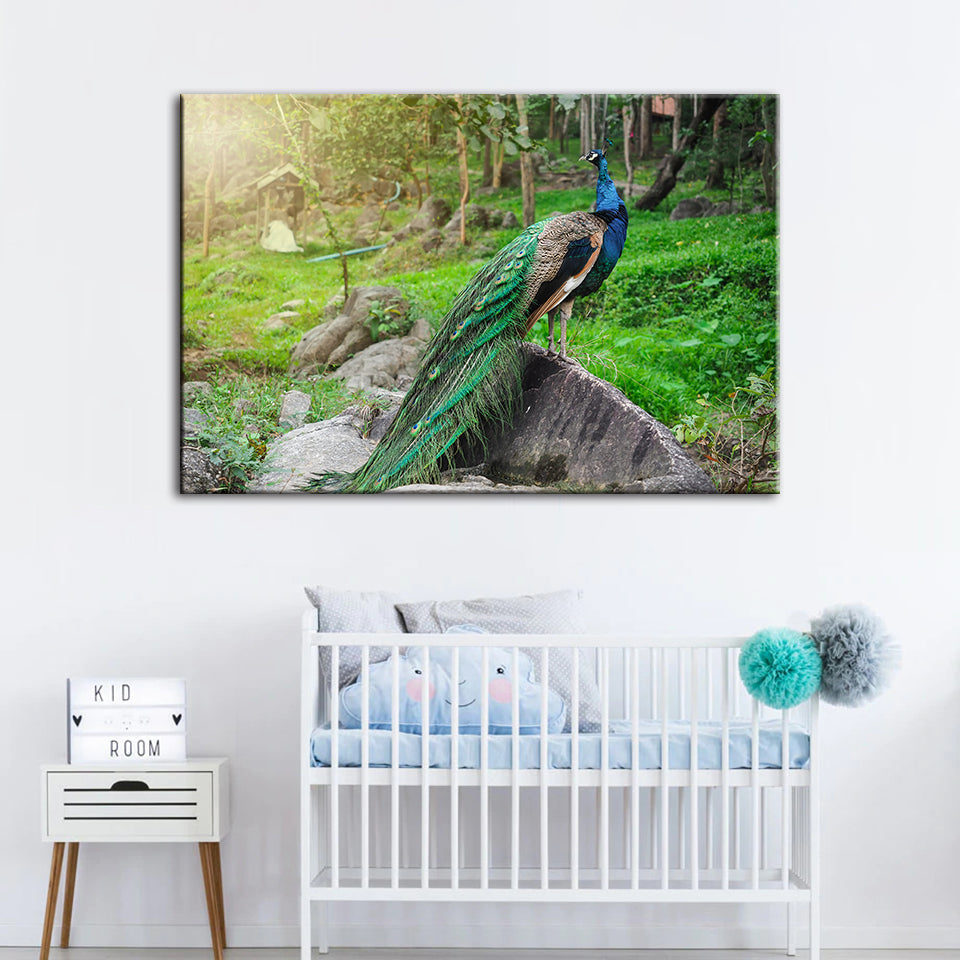 Würdevolle Sonnenlicht-Pfau - Leinwand Wandkunst Gemälde