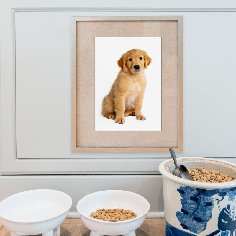 Moderne Hundeposter und -drucke – Leinwandbilder