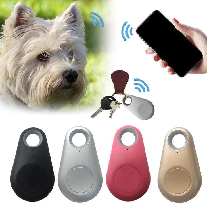 Wasserdichter Mini-GPS-Tracker für Haustiere | Langanhaltender Akku & Echtzeit-Tracking