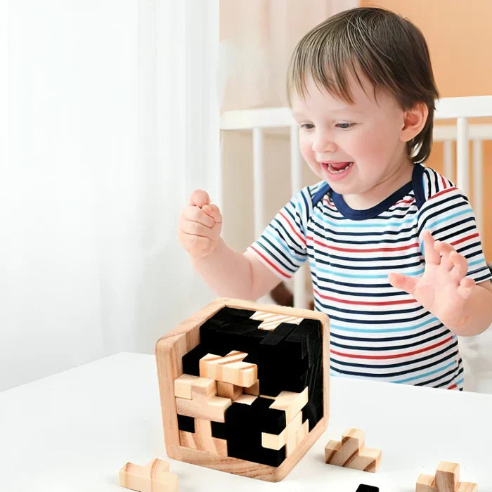 Brehn | 3D Holz-Puzzle - Denkspiel Meister