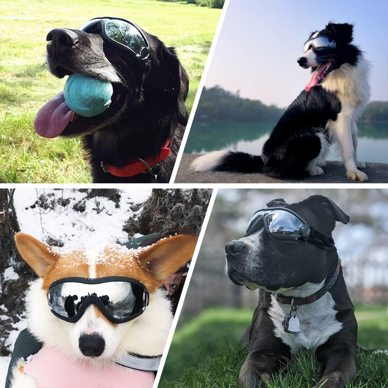 Outdoor-Schutzbrille für Hunde