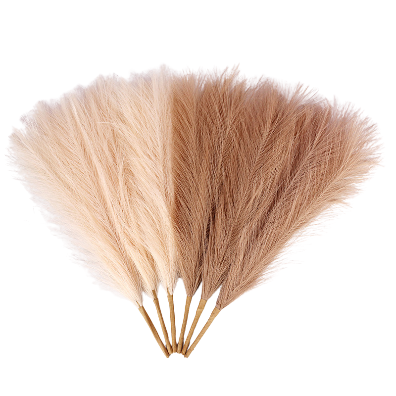 Brehn | PlumeNest