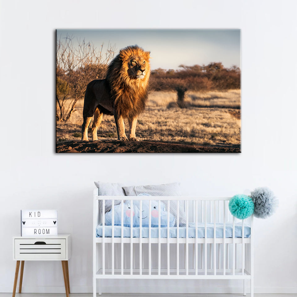 Majestischer Löwe, von Sonnenlicht durchflutet - Leinwand Wandkunst Gemälde