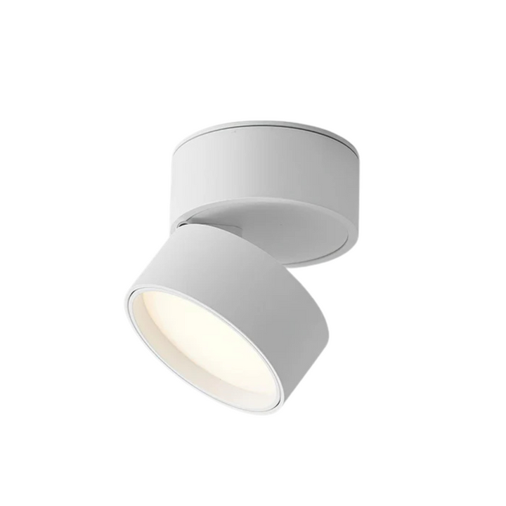 Brehn | Verstellbare LED-Deckenlampe