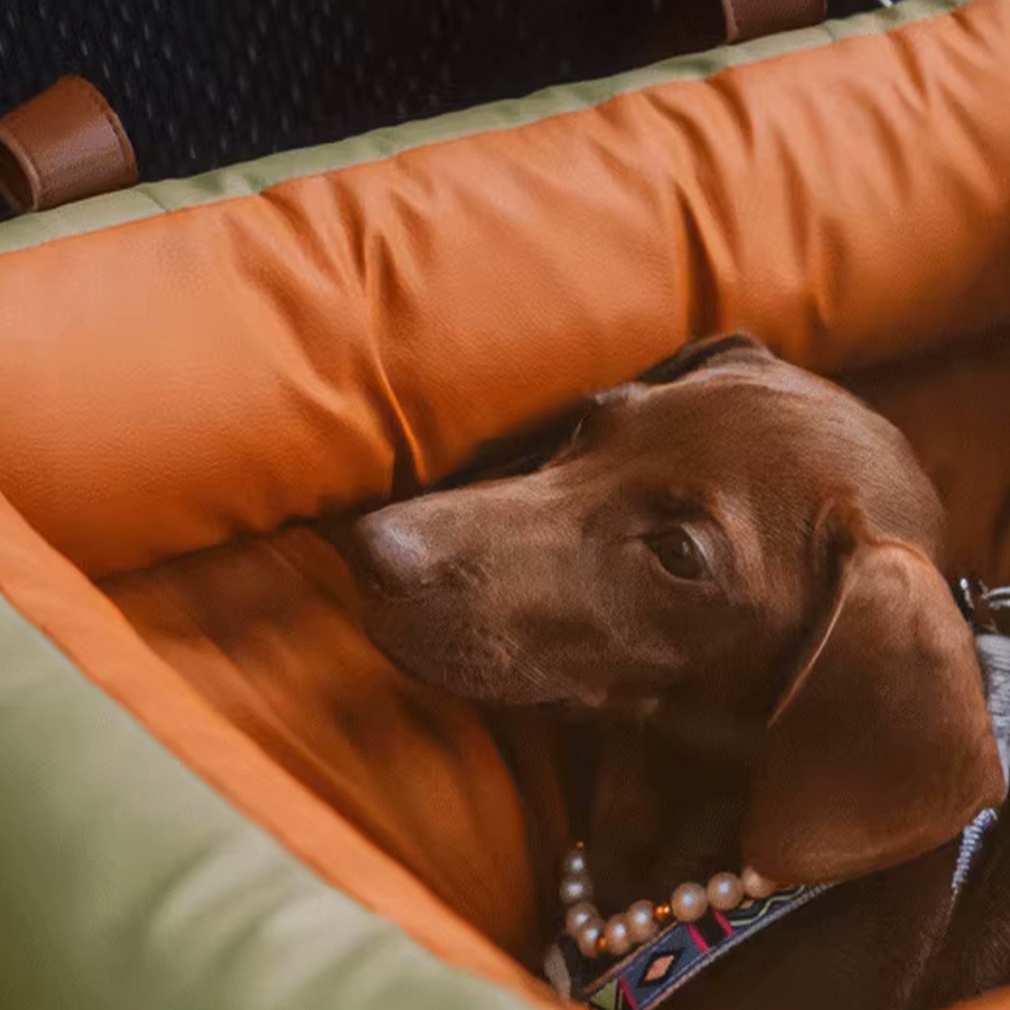 Faux-Leder Hunde Booster Bett – Stylisch, Sicher und Bequem | Brehn