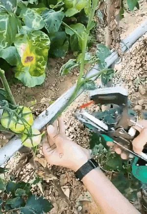 Pflanzenbinder für Gartenarbeiten | Brehn