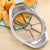 Brehn | Fruit-It-All Mini Schneider