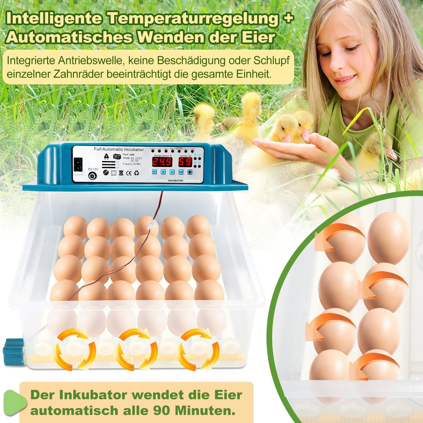 Brutautomat Vollautomatisch Inkubator für Hühner 36 Eier | Brehn