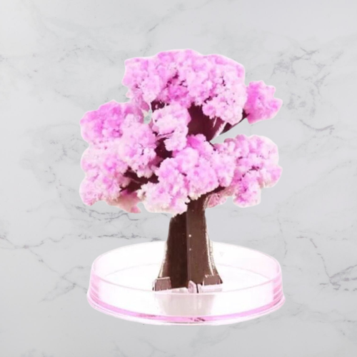 Brehn | DIY Magischer Wachsende Weihnachtsbaum