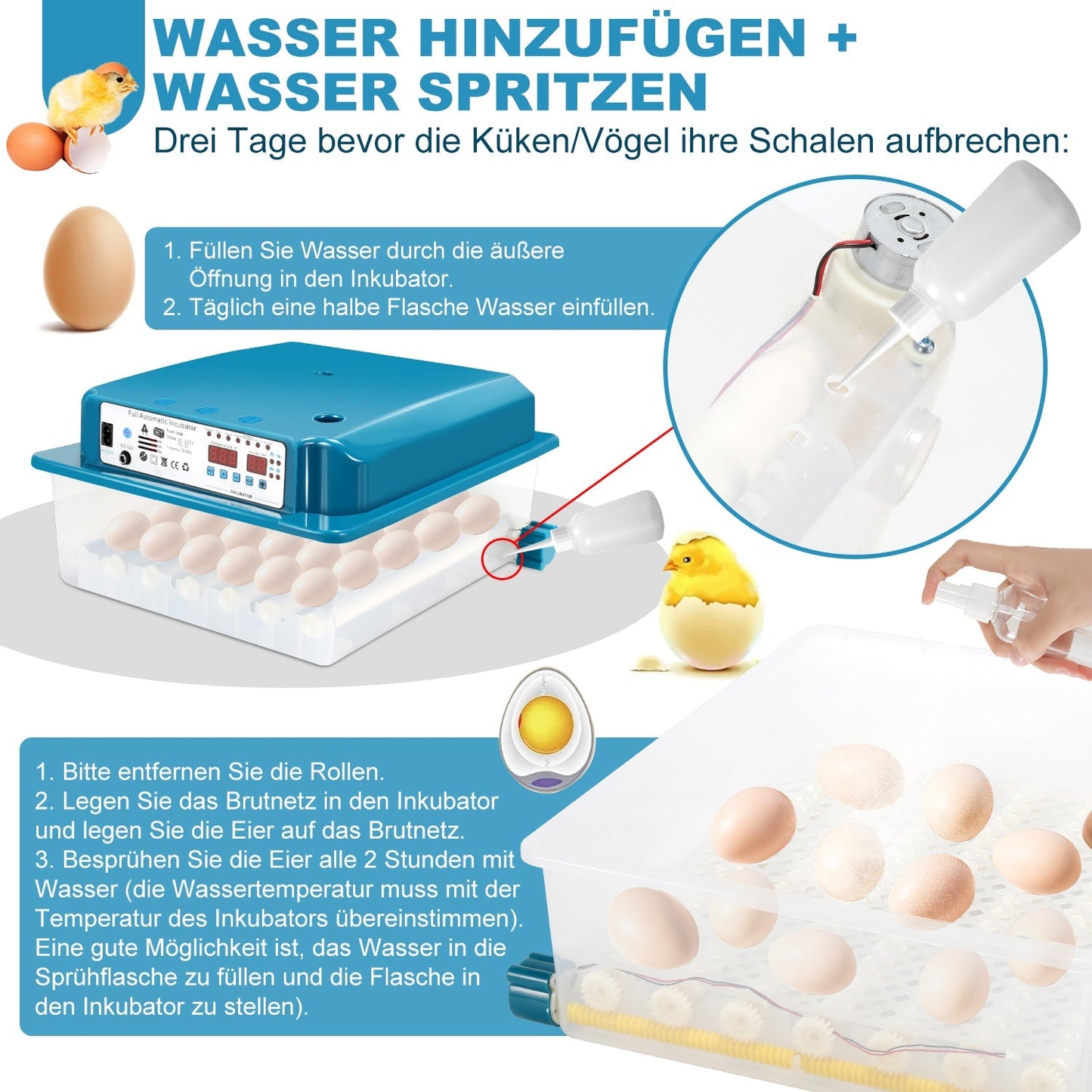 Brutautomat Vollautomatisch Inkubator für Hühner 36 Eier | Brehn