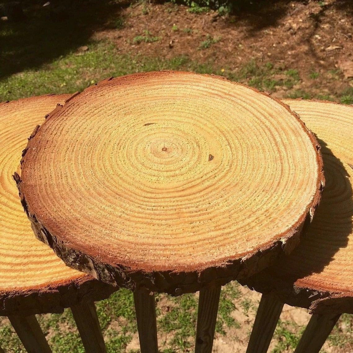 Natürliche Holzscheiben-Untersetzer | Brehn