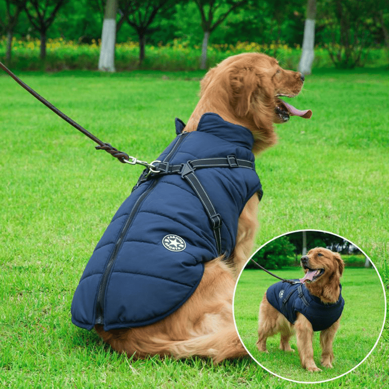 Winter Hundejacke mit Geschirr | Brehn
