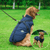 Winter Hundejacke mit Geschirr | Brehn
