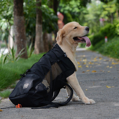 Hunderucksack – Tragetasche für Hunde mit Sicherheitsgurt, atmungsaktives Mesh, wasserabweisend, faltbar, mit Aufbewahrungstaschen