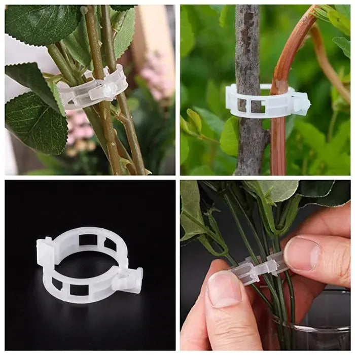 VitaGrip Clips — Starker Halt für prächtige Pflanzen, die stolz wachsen und gedeihen | Brehn
