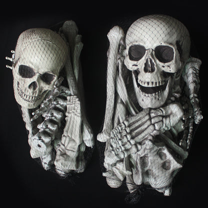 Anatomisches Skelettmodell