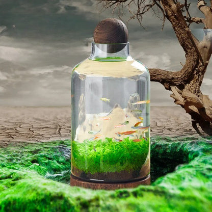 Micro Aquarium Kompakt Glas Ökologisches Fischbecken | Brehn
