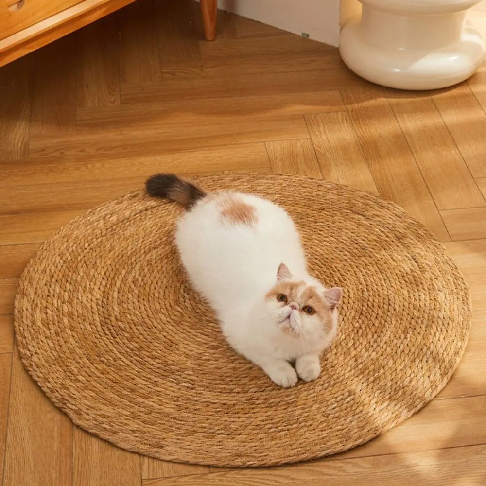 Kratzmatte für Katzen | Brehn