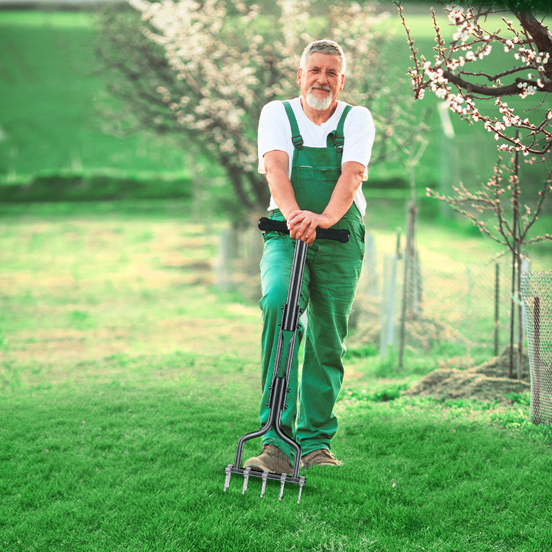 Brehn | LawnThrive Rasen schnell auffrischen