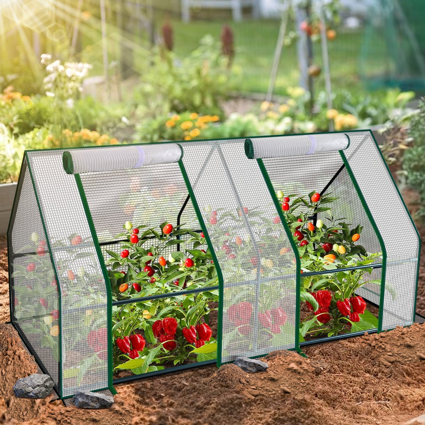 Gewächshaus Tomatengewächshaus Treibhaus | Brehn