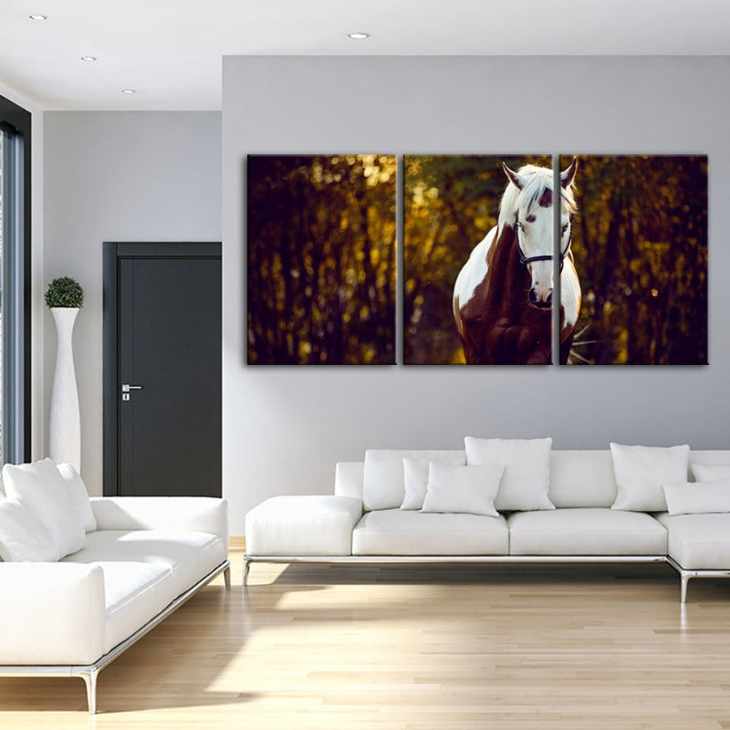 Courtly Overo Pferd – Leinwandbild, 3-teilig