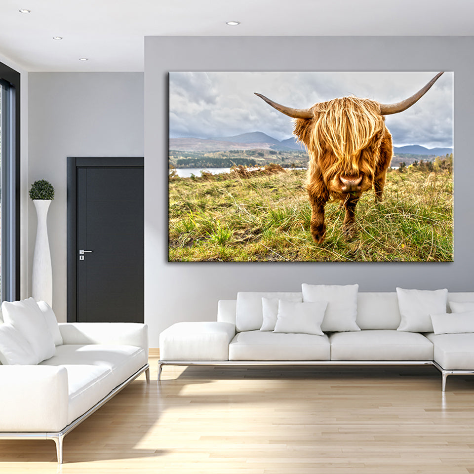 Niedliche Wildkuh – Leinwandbild