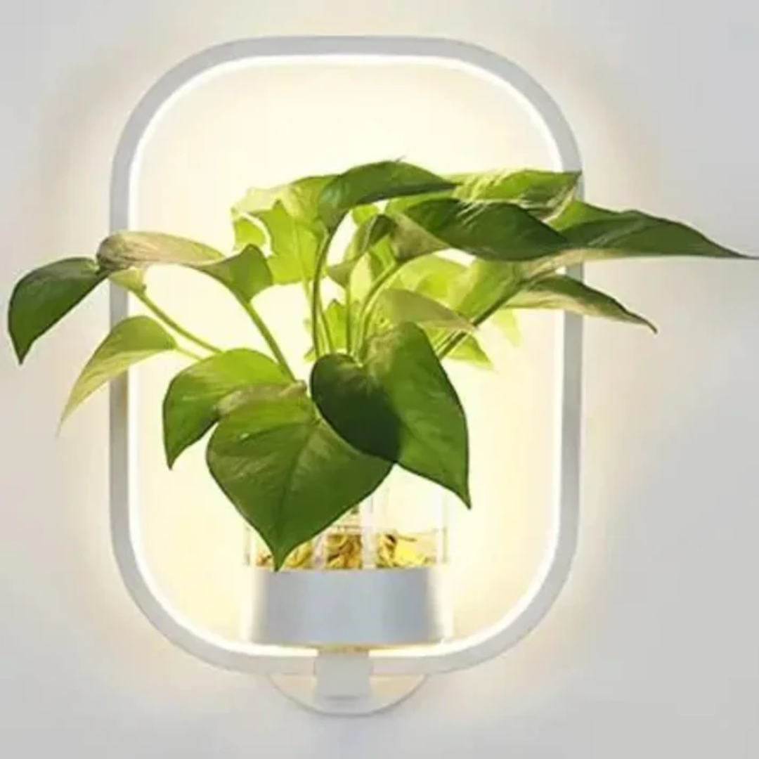 Brehn | Luxus LED Wandleuchte