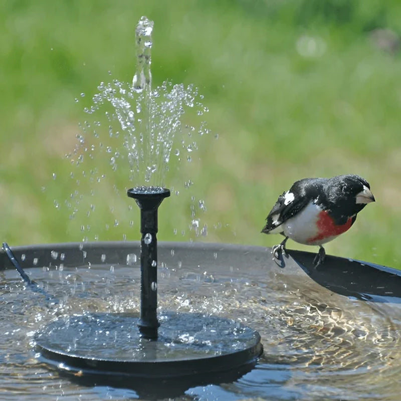 Brehn | Solarbetriebenen Vogelbrunnen mit Lichtern