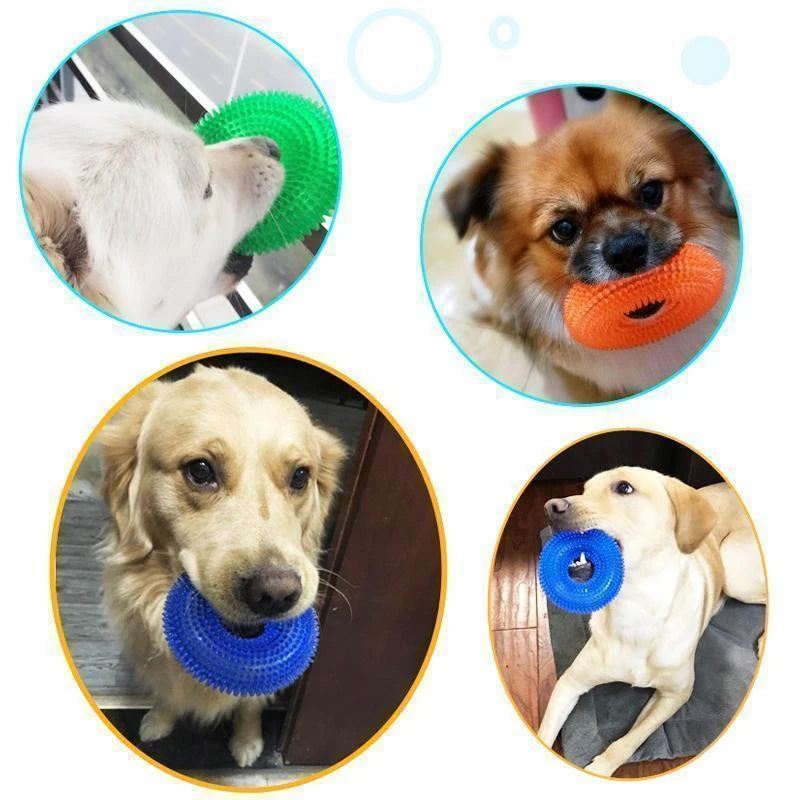 Vocal Ball Spielzeug für Hunde zum Beißen | Brehn
