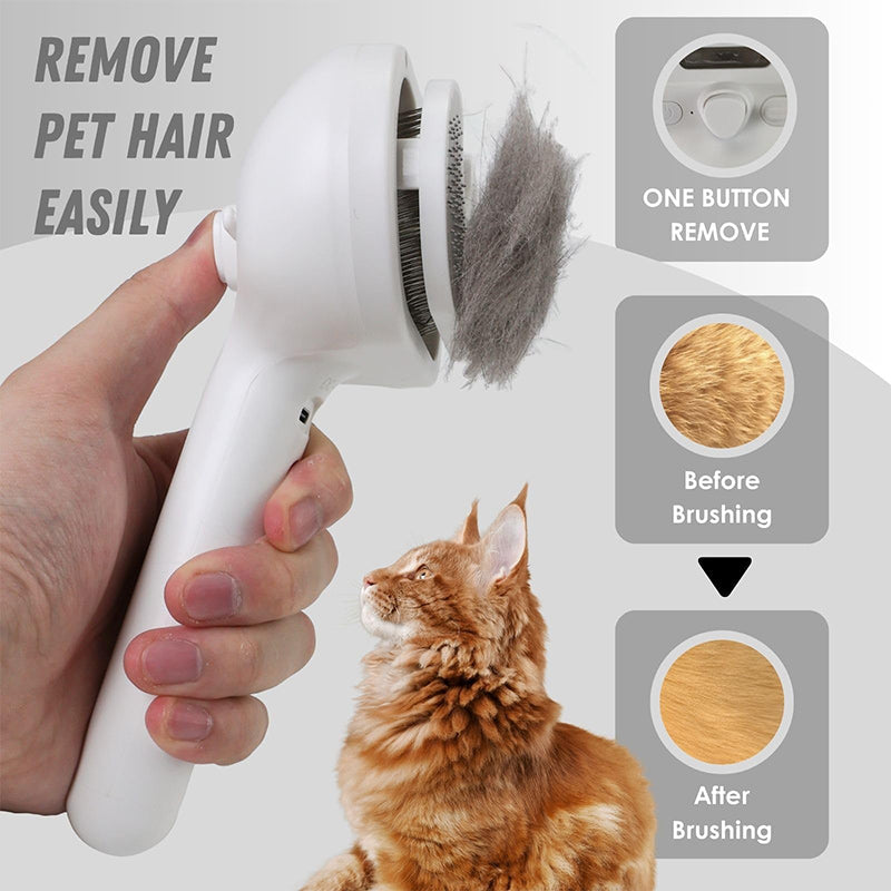Brehn | Spray Katzenbürste