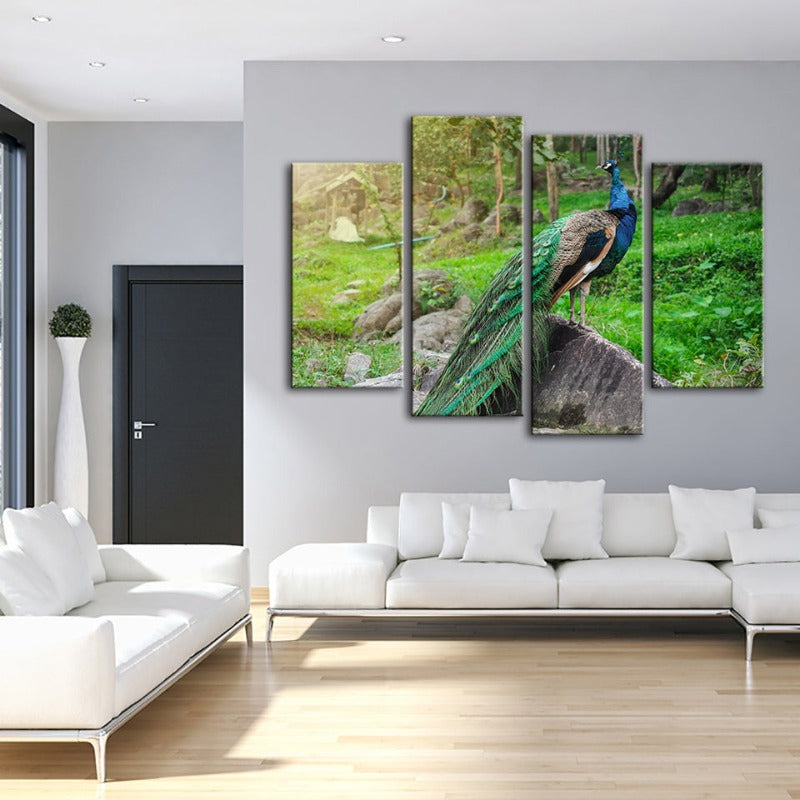 4 Stück Würdevoller Sonnenlicht-Pfau - Leinwand Wandkunst Gemälde