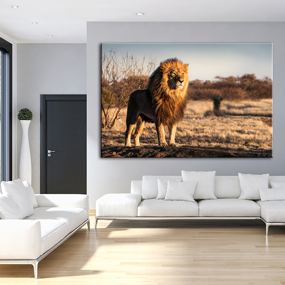 Majestischer Löwe, von Sonnenlicht durchflutet - Leinwand Wandkunst Gemälde