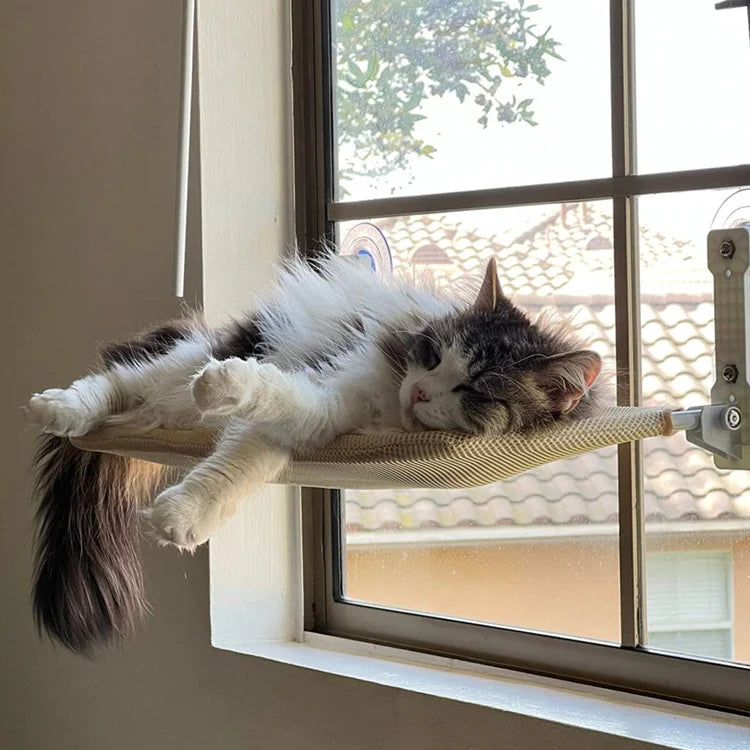 Gemütliche Katzen-Fensterhängematte