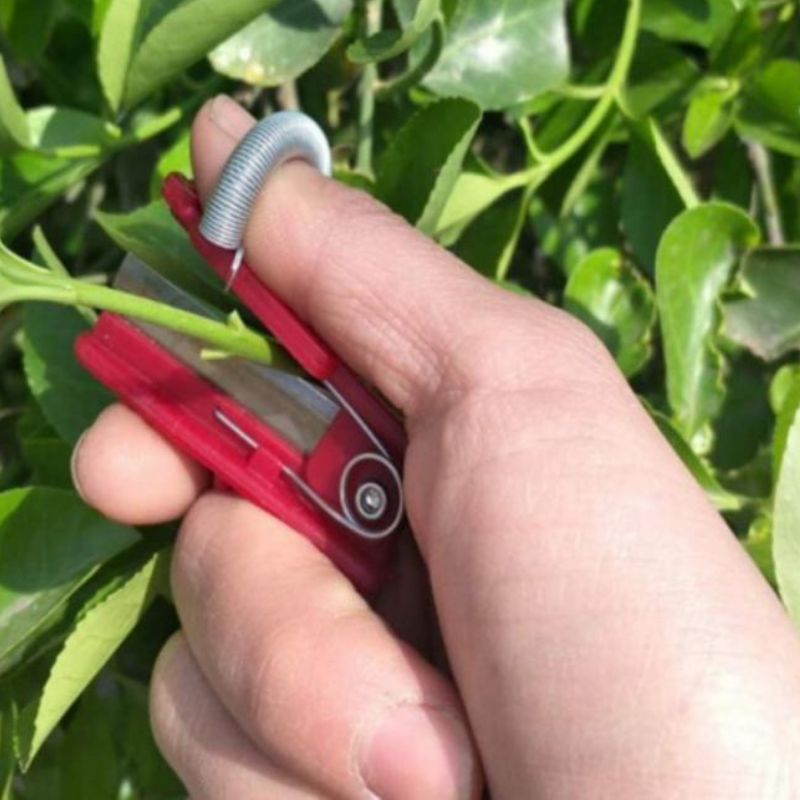 Brehn | GardenGrip | Ernten Sie ganz einfach Ihr eigenes Gemüse und Obst mit diesem praktischen Werkzeug!