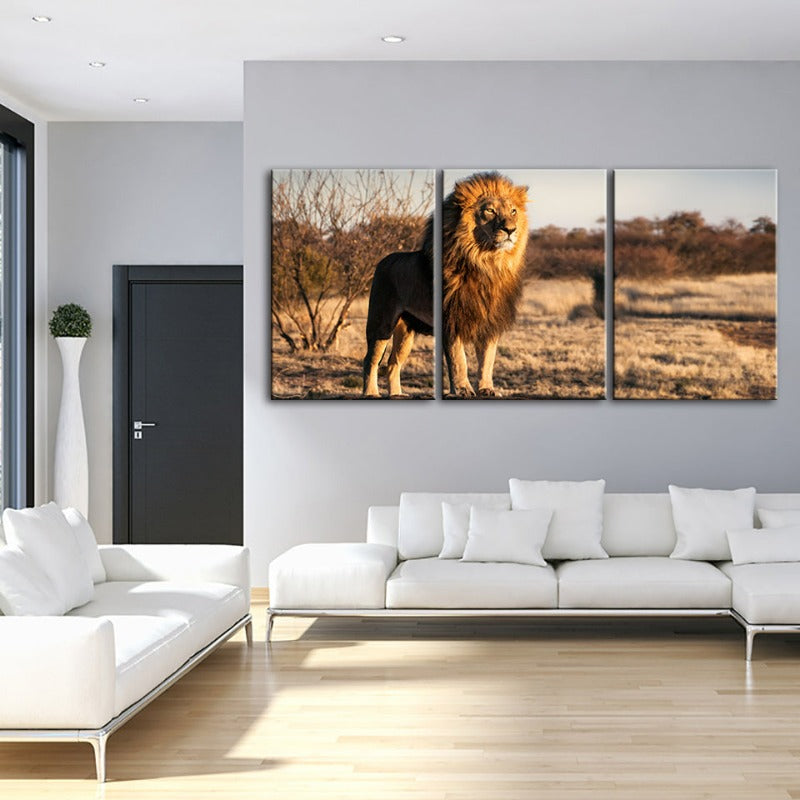 Majestischer Löwe in Sonnenlicht gehüllt - Leinwand Wandkunst Gemälde 3 Teile