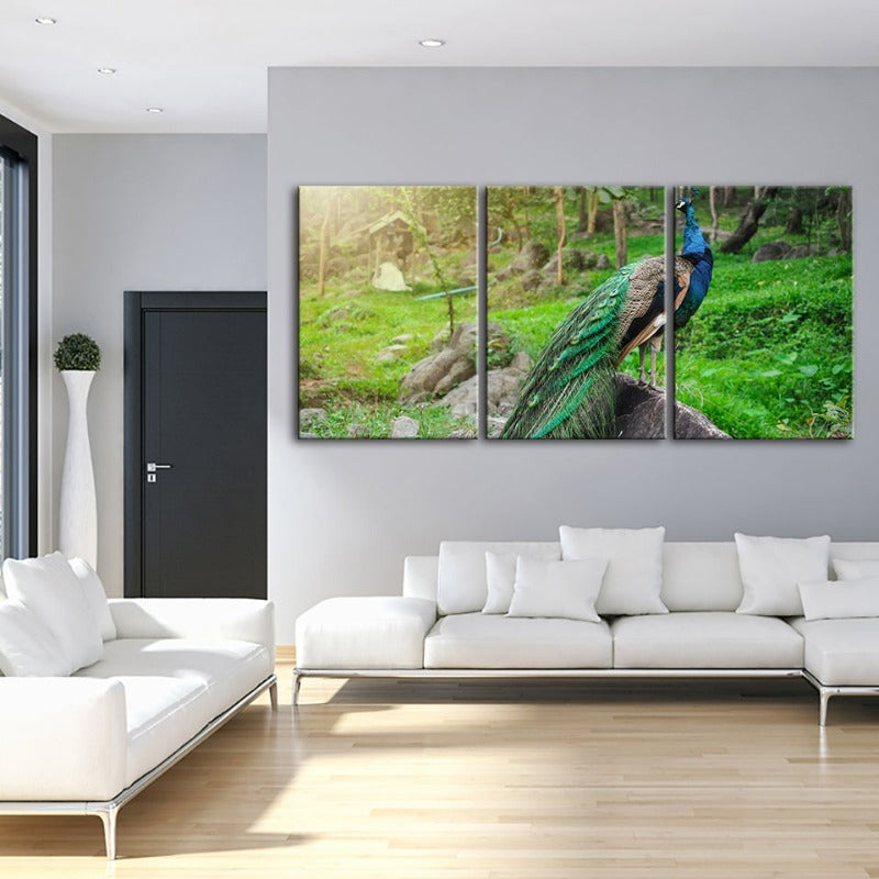 Würdevolles Sonnendurchflutetes Pfau-Leinwand Wandkunst Gemälde 3 Stück