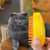 Brehn | PurrSteam verwicklungsfreies Fell