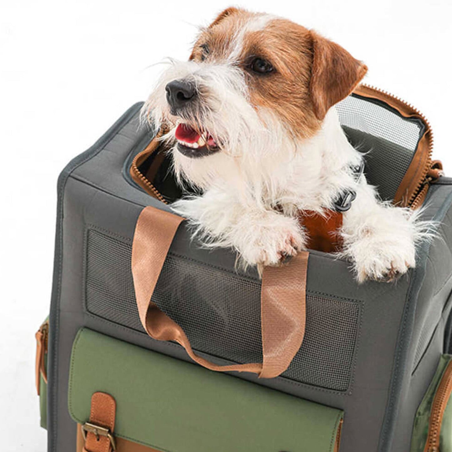 Wasserfester Reisetasche für Haustiere – Atmungsaktiv, Langlebig & Bequem | Brehn