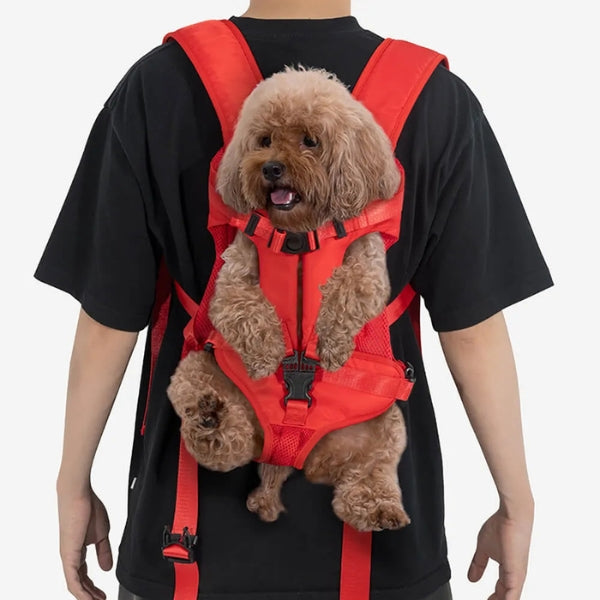 Komfortable Haustiertransportbox – wasserdicht und atmungsaktiv – für Hund oder Katze