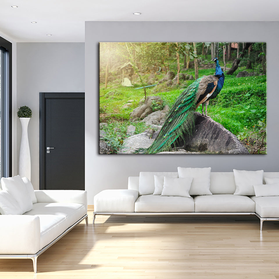 Würdevolle Sonnenlicht-Pfau - Leinwand Wandkunst Gemälde