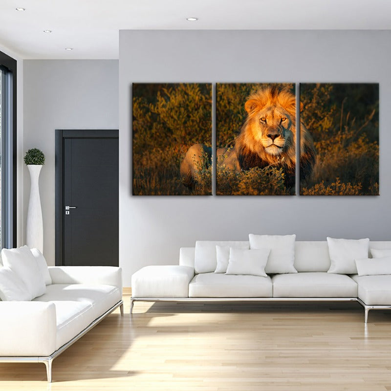 Göttliches Sonnenuntergang Löwe-Canvas Wandkunst Gemälde 3 Stück