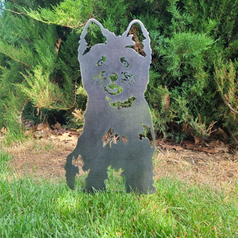 Cairn Terrier | Brehn