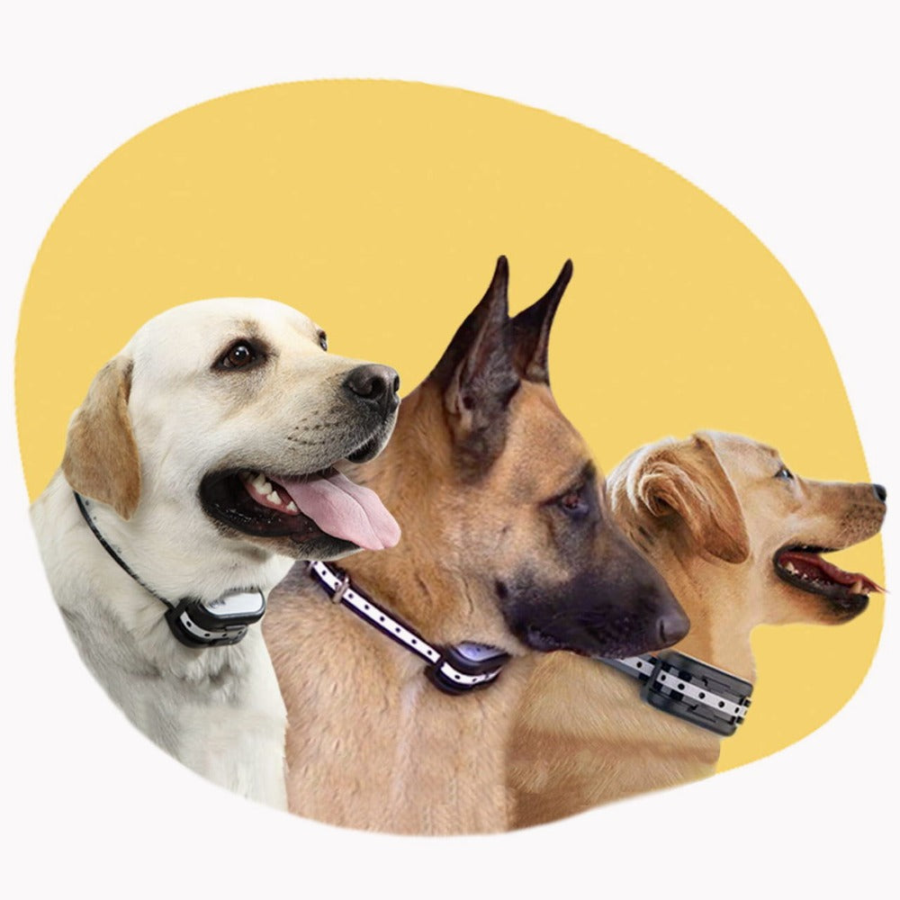 Brehn | SafeZone - Wireless Dog Kennel & Training Collar | Pet-Friendly Correction Methods | Rechargeable & Waterproof
