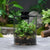 Brehn | Mini Forest Maker Terrarium Dekovase