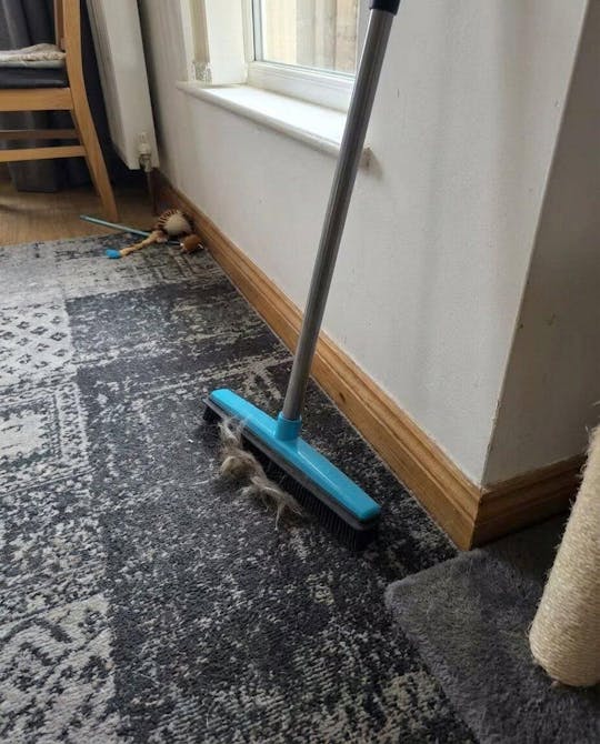FurCleer — Mach Schluss mit Tierhaaren und fühl dich frei in deinem Zuhause | Brehn
