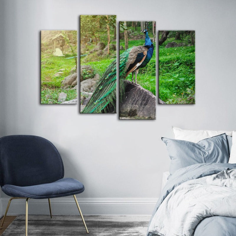 4 Stück Würdevoller Sonnenlicht-Pfau - Leinwand Wandkunst Gemälde